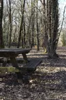 Aire de pique-nique Chazelles gare