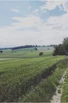 La pension du Lys - Gîte d'étape & Pension équestre