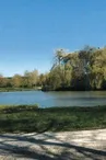 Aire de l'Etang des Rosées : aire de jeux et de pique-nique