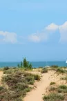 Plage de Boyardville