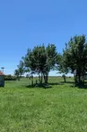 Site découverte nature - La Grande des Marais