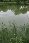 Plan d'eau Aunisien