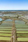 Marais de la Seudre