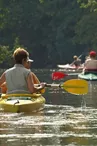 Canoës