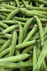 Foire et marché Mirambeau