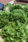 Marché vert et marché de producteurs