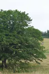 Camping de La Vélonde