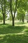Camping La Ferme de l’Étang