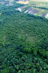 Tourbière de Bois Mou