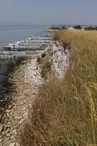 Pelouses calcicoles et côteaux de Gironde