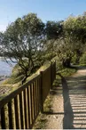 Le Sentier des Douaniers
