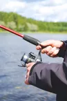 Etang des Colverts