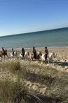 Les Cavaliers d'Oléron