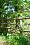 Réserve  naturelle régionale : La Massonne