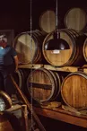Cognac François Voyer et Cognac Vaudon