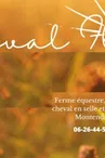 balade à cheval avec la ferme du cheval fleuri