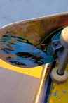 Skatepark