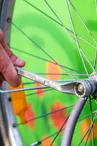 Cycles Braquet et Pignon
