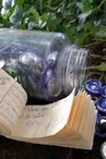 Geocaching Tèrra Aventura - Dans les bois de Morphée