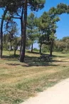 Aire de pique nique - Route du Douhet