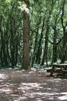 Aire de pique-nique des Terres-rouges - Forêt de Benon