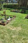Jardin médiéval de la Sagesse - Amis de Jonzac