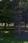 Aire de pique-nique