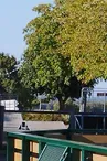 Skate-park