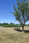 Aire de pique-nique de l'étang