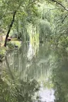 Le marais de la Seugne - Montils